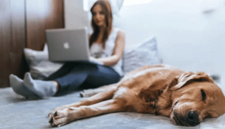 terapia online